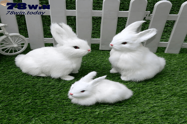 Nằm mơ thấy ba con thỏ rất xinh xắn