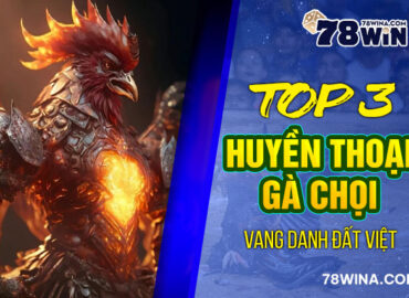 Top 3 huyền thoại gà chọi vang danh đất Việt
